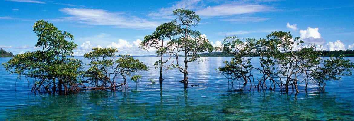 Andaman and Nicobar islands